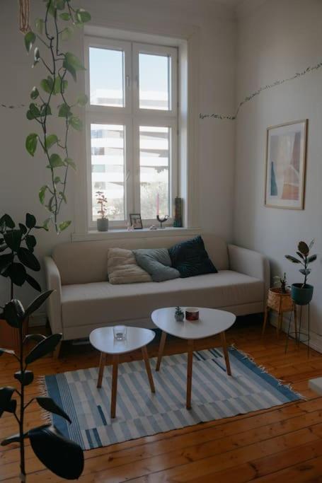 Apartamento In The Heart Of
